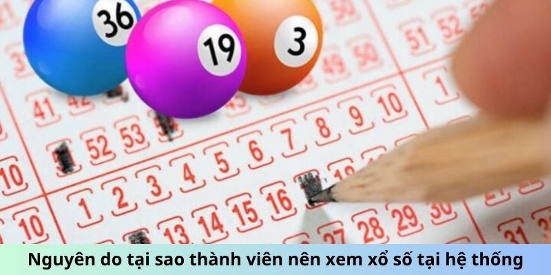 Soi Cầu 568 - Mở Khóa Bí Mật Số Học Để Chiến Thắng Lô Đề 2 Trang Chủ Jun88.com #1 Việt Nam Nguyên do tại sao thành viên nên xem xổ số tại hệ thống